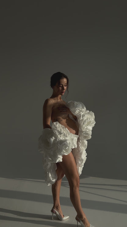 Aurora White